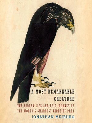 cover image of A Most Remarkable Creature